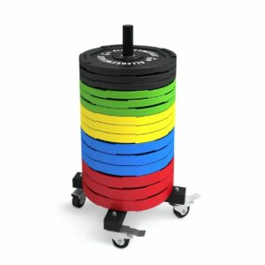 Rack de Discos Bumper vertical