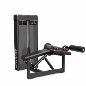 PC20 Femoral Tumbado